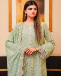 Green Chiffon 3 piece 1